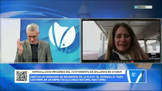 WONDERFUL FOOTAGE OF WHALE SIGHTINGS IN CHUBUT