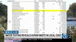 Human waste found in Stonington cove, testing shows