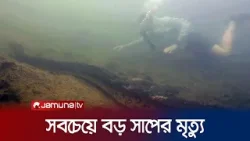 আমাজন জঙ্গলে বিশ্বের সবচেয়ে বড় সাপের মৃত্যু | Largest Snake Death | Jamuna TV