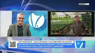 WE'RE MOVING: WHAT DO WE DO WITH OUR PLANTS?