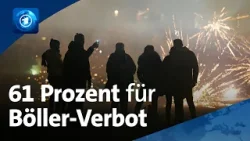 Trotz Forderungen nach Böller-Verbot: Rekordumsatz beim Silvester-Feuerwerk erwartet Trotz Forderungen nach Böller-Verbot: Rekordumsatz beim Silvester-Feuerwerk erwartet