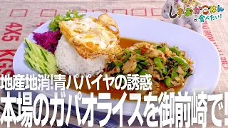 【御前崎市・タイニー】本場の味を屋台気分で！地元産青パパイヤのシャキシャキサラダと、こだわり調味料の極上ガパオライス