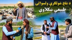 لاروی؛ د بلخ شولګرې ولسوالۍ طبيعي ښکلاوې او له خلکو سره خبرې