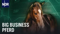 Ware Pferd: Macht das Geld den Reitsport kaputt? | Sportclub Story | NDR Doku