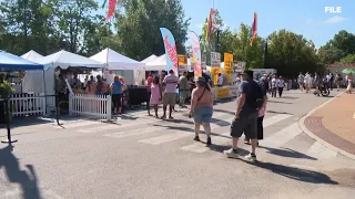 Japanese Festival returns to Missouri Botanical Garden