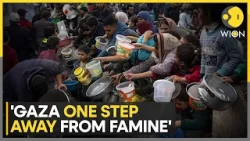 576,000 people in Gaza one step away from famine, says UN official | WION News