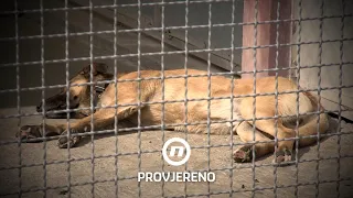 Psi nisu ni lajali od straha: Jezivi detalji s farme užasa u Slavonskom Brodu | Provjereno