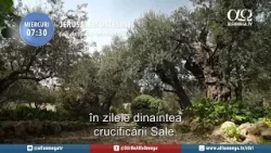 Trailer „Jerusalem Dateline” 708