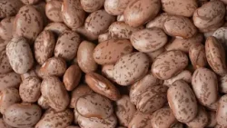 Dólar registra menor valor em quase dois anos | Resumo de Notícias