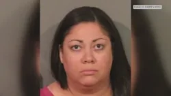 Семья выступила с заявлением после того, как, по сообщениям, няня избила маленького ребенка в парке.