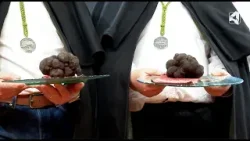 Subasta solidaria de trufa negra en Madrid Fusión