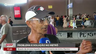 Tree falls and disrupts Metro service. Station roofs to be replaced starting Monday