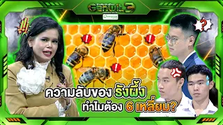 Why are honeycombs hexagonal? !! | Genwit New Gen Genius Season 3