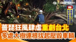 Typhoon Jangpi devastated Taipei! Numerous large trees were uprooted and crushed vehicles, some e...