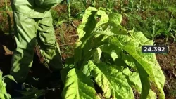 Fim da escala 6x1 pode custar R$10,8 bi às cooperativas de Santa Catarina | Giro de Notícias Fim da escala 6x1 pode custar R$10,8 bi às cooperativas de Santa Catarina | Giro de Notícias