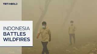 Drought-fuelled fires choke parts of Indonesia