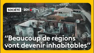 After the wildfires, residents of Gironde and the Landes region call for state aid
