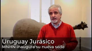 Informe Portal - Uruguay Jurásico