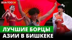 Лучшие борцы Азии в Бишкеке: потоки туристов и лицензии на Олимпиаду-24