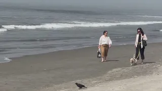 Dangerous conditions forecast for Bay Area beaches over holiday weekend