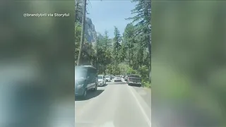 Yosemite could get AI-powered real-time parking info thanks to new grant