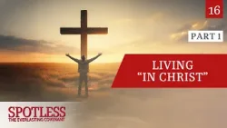 «Прощай, старое — здравствуй, новое. Часть первая» — Spotless 16