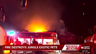 Fire destroys exotic pet store on Highway 49