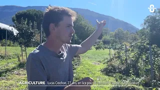 Gruffy, a land of fruit