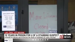 Suspect gets 12 years in prison for brutal, planned attack at University of Arizona