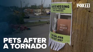 Animal organizations step up to help pet owners displaced by tornado