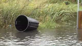 Storm in New Haven county leaves flooded streets and down trees, cleanup continues