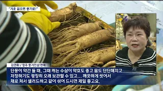 [Desk R] "Feeling weak? Head to Punggi!"… Punggi Ginseng Festival Opens Tomorrow