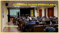 ? Jornada sobre la Pyricularia de l’arròs