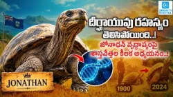 World’s Oldest Living Land Animal? Scientists Study Jonathan’s Secret to Long Life
