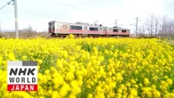 The Pinks and Greens of Akita and Aomori - Train Cruise