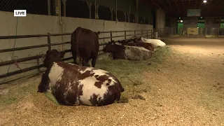 Western Idaho fair begins