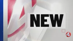 Bus attendant charged with possession of child pornography