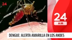 Alerta amarilla en Los Andes por múltiples focos del mosquito Aedes Aegypti | 24 Horas TVN Chile