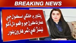 Peshawar Mein Khangi School Ji Imarat Kiran Jo Waqio Dil Dukhainar Aahe: Samar Haroon Bilour