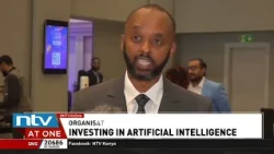 Organisations urged to develop own AI solutions
