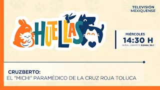 Cruzberto: El "michi" paramédico de la Cruz Roja Toluca | Huellas | 26-08-2026