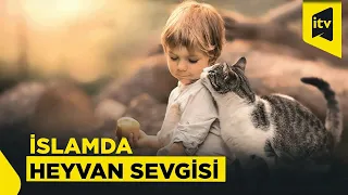 Heyvanlara qarşı qəddarlığın qarşısını necə alaq?