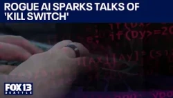 Rogue AI chatbot sparks kill switch debate | FOX 13 Seattle