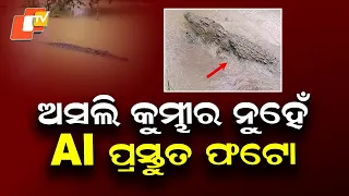 10-Foot Crocodile Photo in Koraput Turns Out to Be AI-Generated Fake