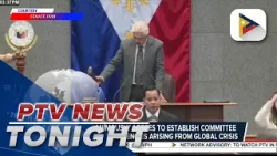 Senate unanimously agrees to establish committee to address contingencies arising from global crisis