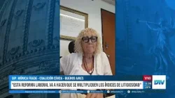 “Estoy en las antípodas de la Reforma Laboral que se ha votado”, Mónica Frade en DTV
