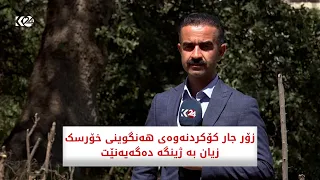 زۆر جار کۆکردنەوەی هەنگوینی خۆرسک زیان بە ژینگە دەگەیەنێت