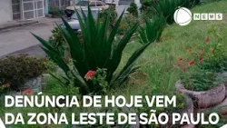 Record News contra a dengue: denúncia de hoje vem da zona leste de São Paulo