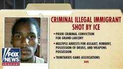 DHS: ICE agent shoots wanted illegal migrant