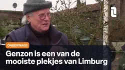 Óngerwaeg speelt een liefdesliedje in Genzon
